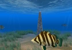 Download Tiger Fish Screensaver