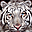 Tigers Free Screensaver tigers free screensaver