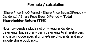 Total Shareholder Return (MEGA)