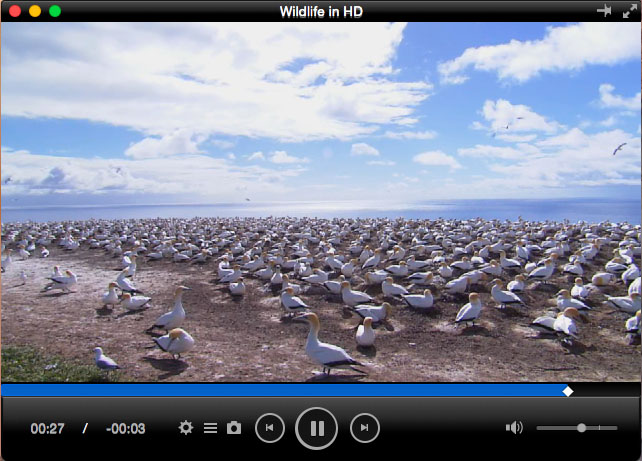 Mkv video player for mac
