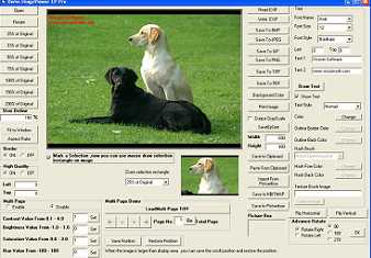Download VISCOM Image Viewer CP Pro ActiveX SDK