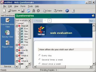 Download Web Questionnaire