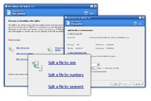 Download WinUtilities File Splitter