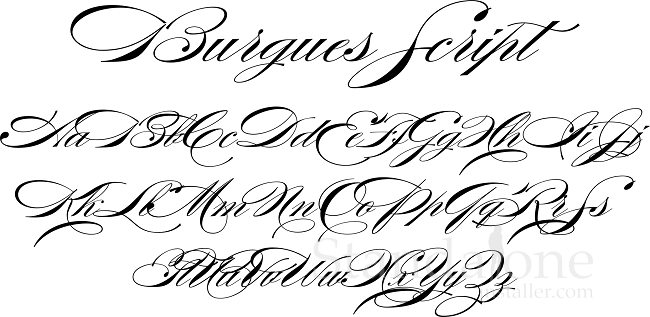 Burgues Script